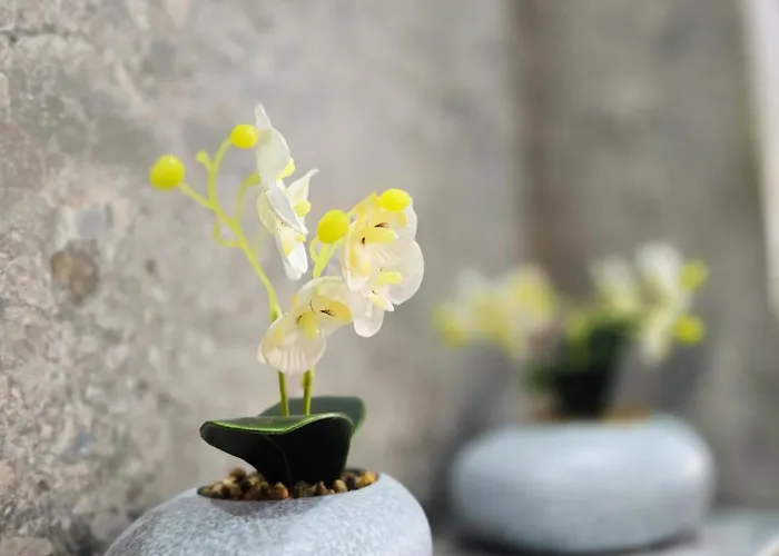 Mykonos 아파트 파포스