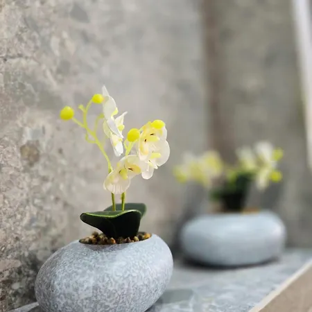 Mykonos Apartamento Paphos